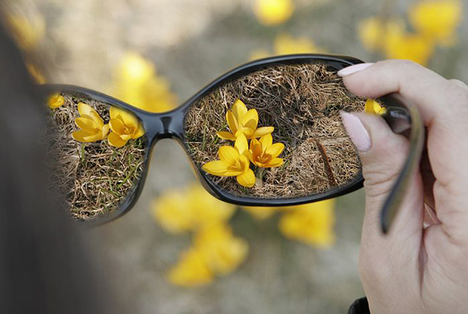 Защитить замечать. Осенние очки. Солнечные очки в цветах. Видеть прекрасное в мелочах.