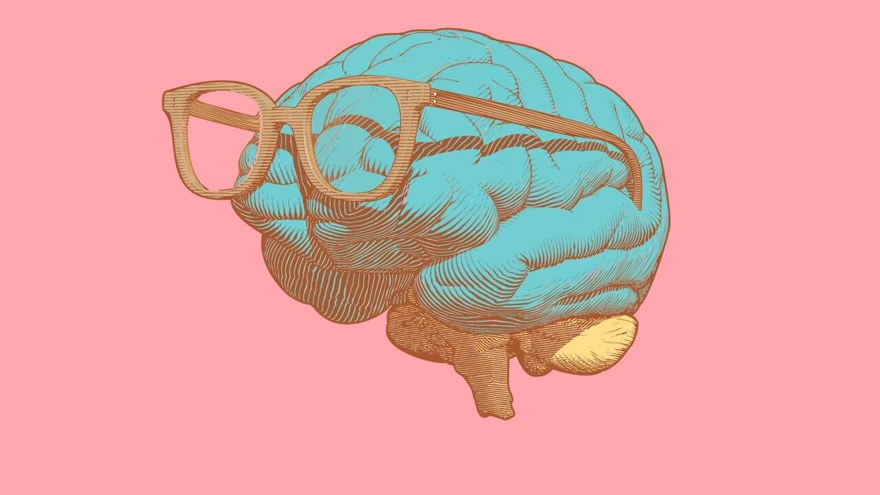 Изучаем мозг: как нейробиолог вернул своему уму юность